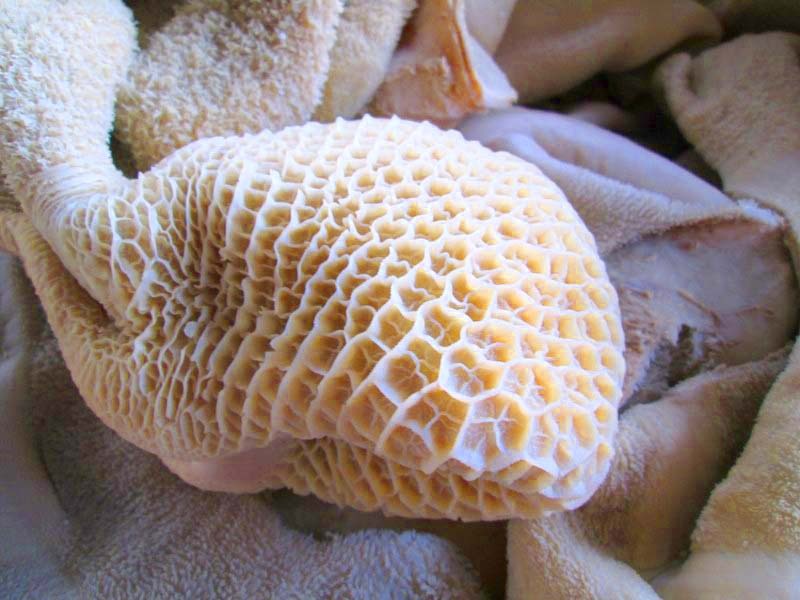 Premium food products display